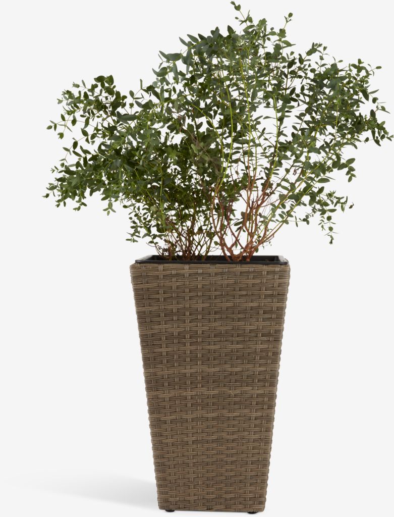 BLOMMOR Kosz doniczka BLOMMOR S31xD31xW50 kolor naturalny