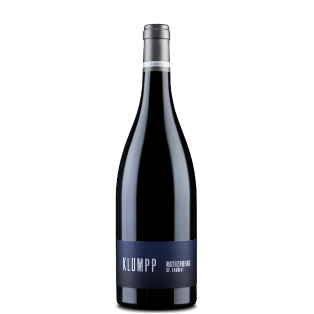 2020 St. Laurent Rothenberg trocken - BIO