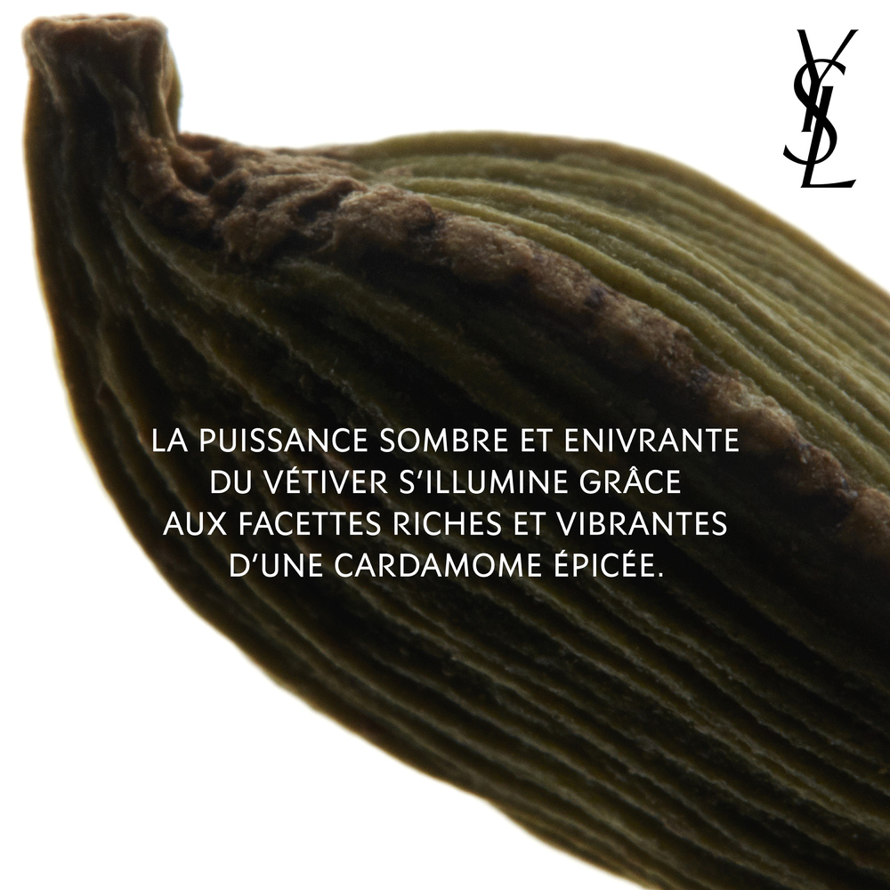 Yves Saint Laurent La Nuit de L'Homme Eau de Parfum Homme