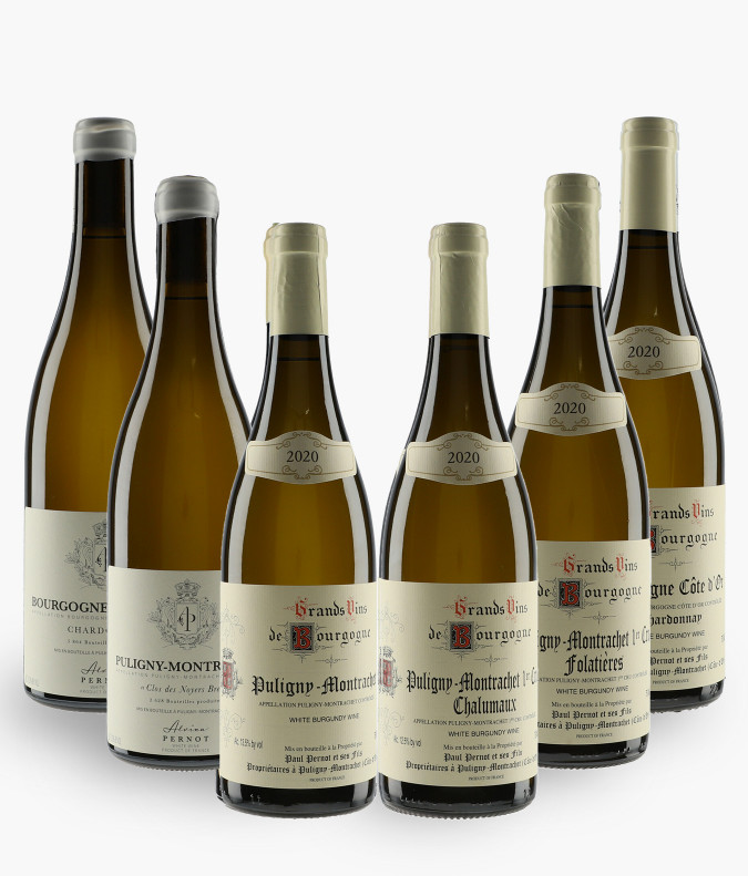 Horizontale Famille Pernot 2020Autre