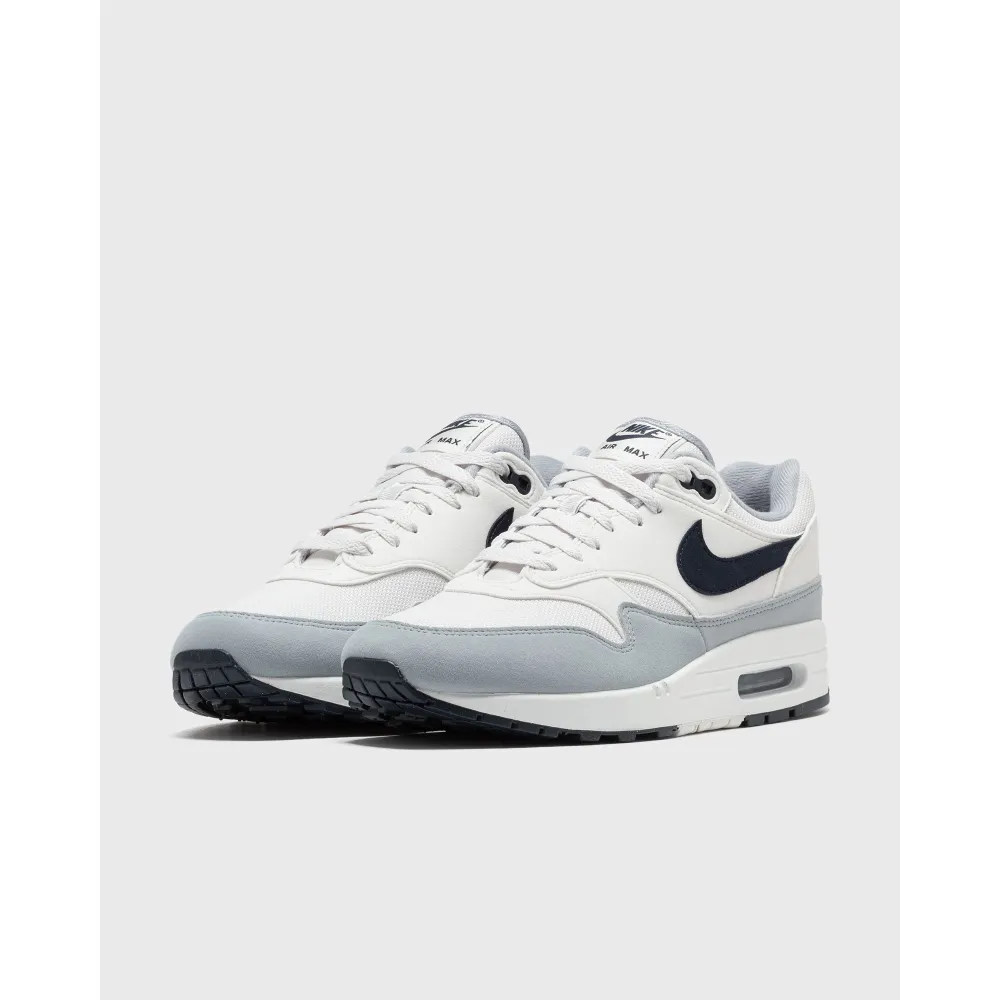 Nike Air Max 1 FD9082-002 / grau