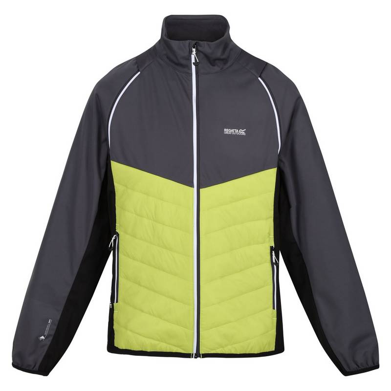 Regatta Steren Funktionsjacke Herren