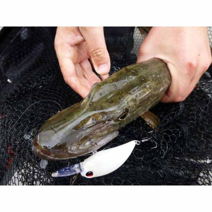 Hard Crankbait Duo Realis Crank M65 11A 6.5cm, 16g