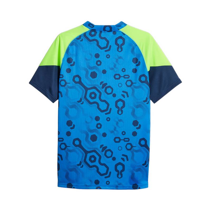 PUMA individualCUP Trikot Trikot Herren