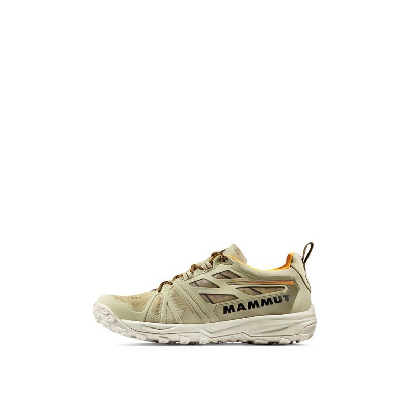 Mammut Saentis Low GTX Multifunktionsschuhe Herren