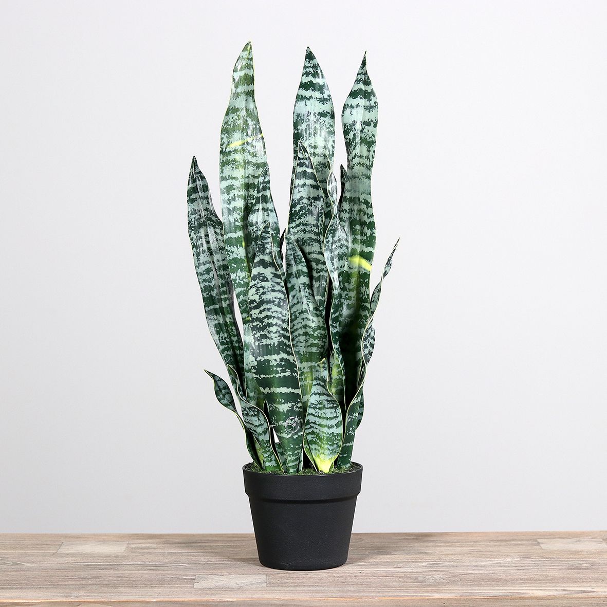 Kunstpflanze Sanseveria Grün H67cm