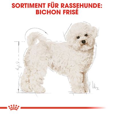 Royal Canin Bichon Frisé Adult