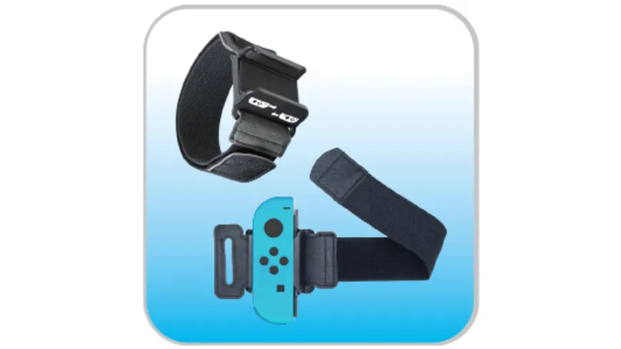 SWITCH SPORTS
