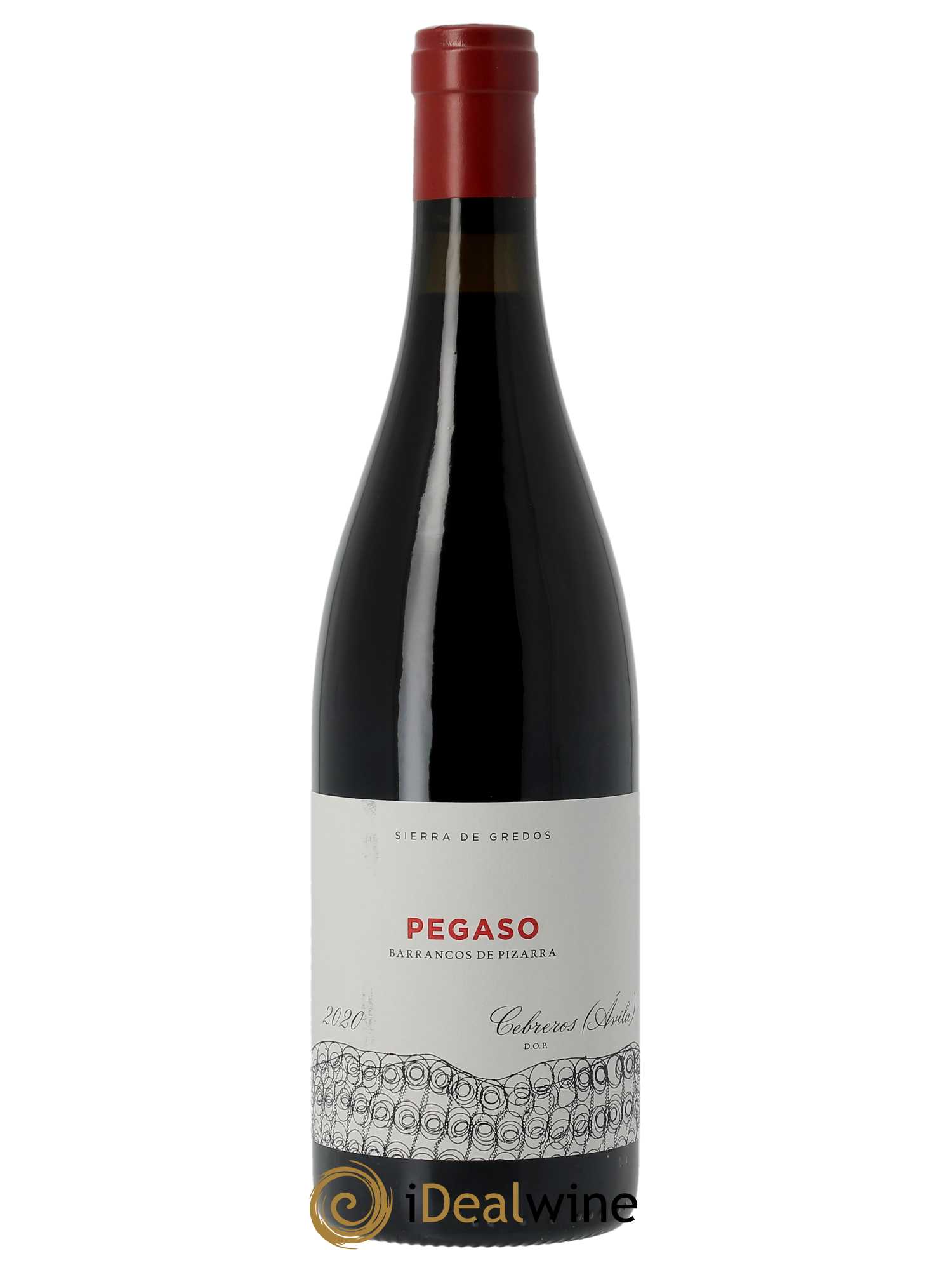 Sierra De Gredos Barrancos de Pizarra Telmo Rodriguez - Pegaso  2020 - Lot de 1 Bouteille