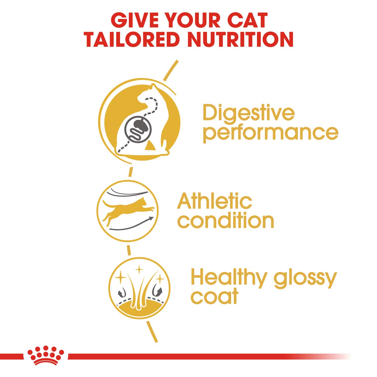 ROYAL CANIN Bengal Adult Katzenfutter trocken kaufen