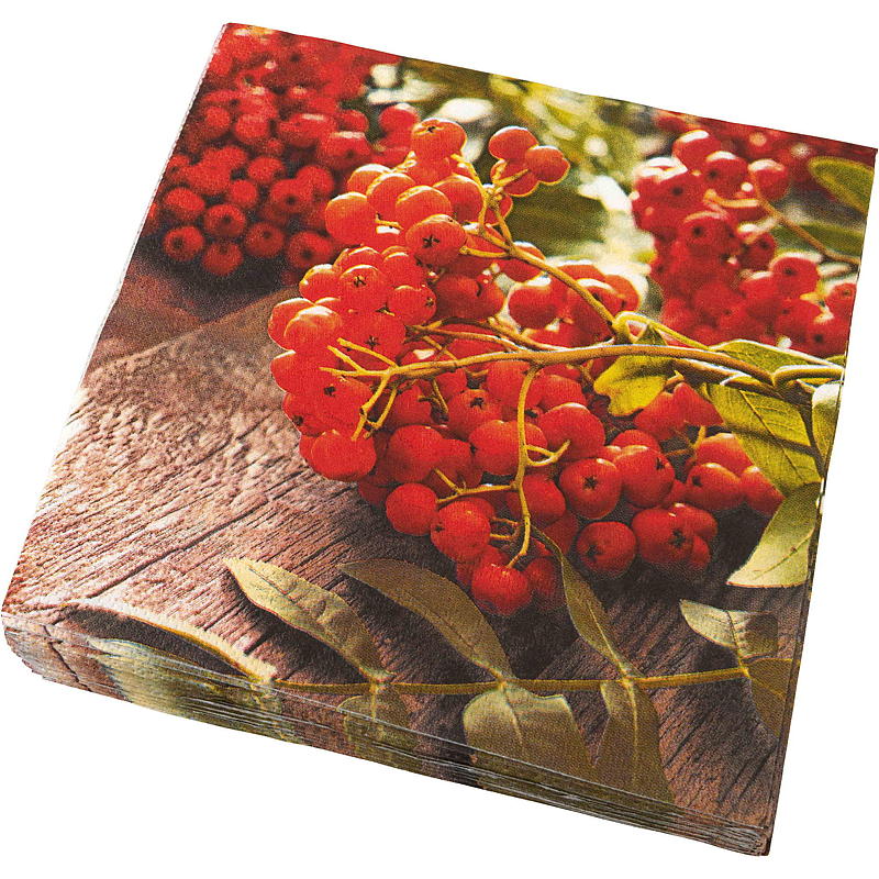Vie Eco Servietter 20-pk 33x33 cm, Høst