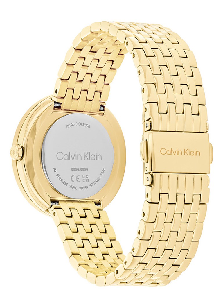 Calvin Klein Watch CK25100066