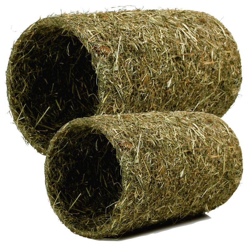 JR Farm Heu-Tunnel zu TOP-Preisen % | bitiba