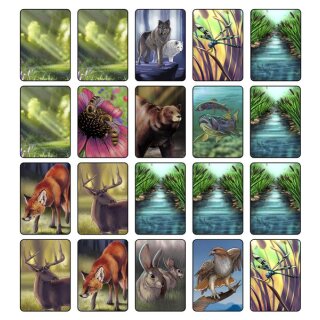 Ecosystem (EN)