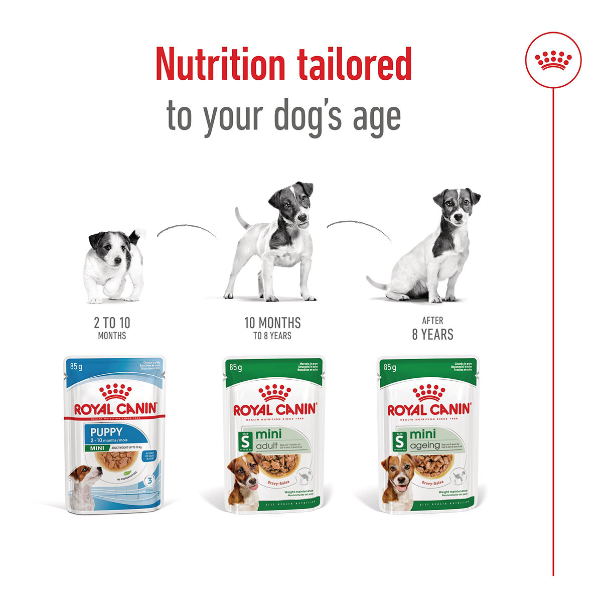 Royal Canin SHN Mini Ageing Gravy günstig kaufen bei ZooRoyal