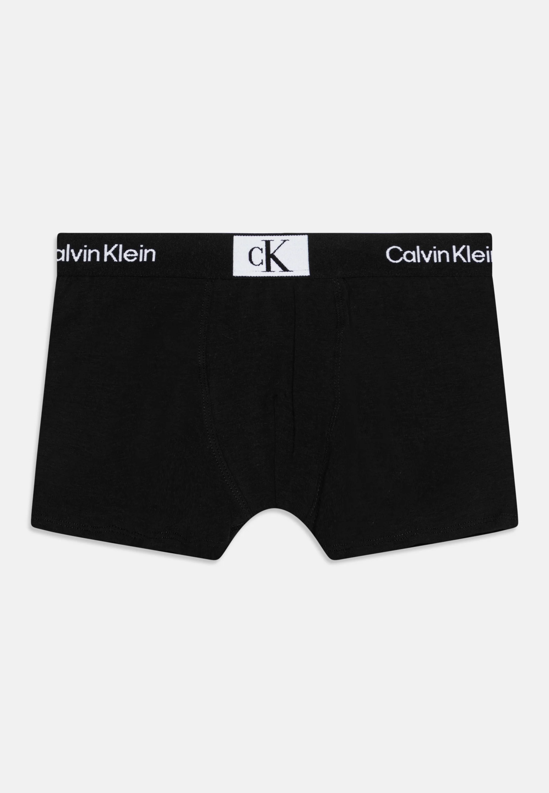 Calvin Klein Underwear TRUNK PACK DE 2 - Culotte