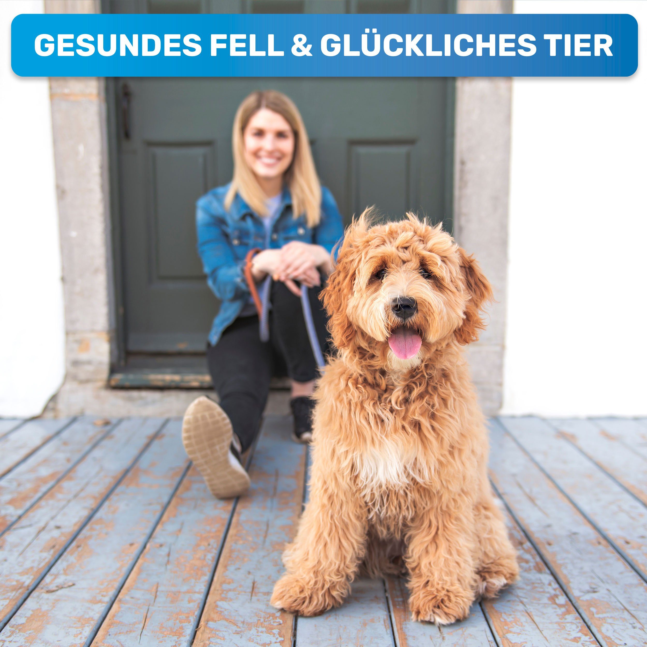 BluePet Unterwollharke 