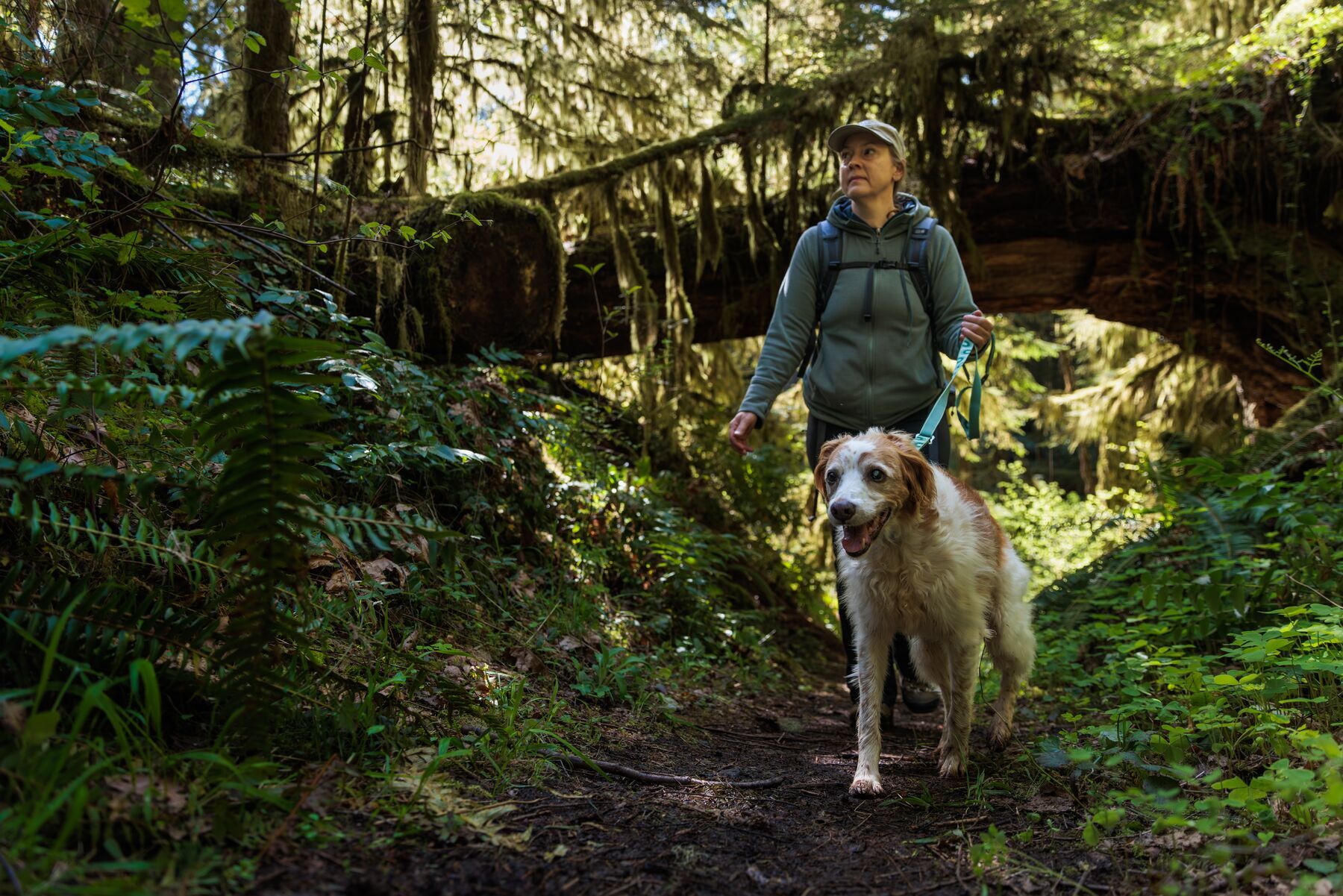 Ruffwear Hundeleinen Ruffwear Verstellbare Hundeleine Crag EX™ blau/ türkis/ gelb