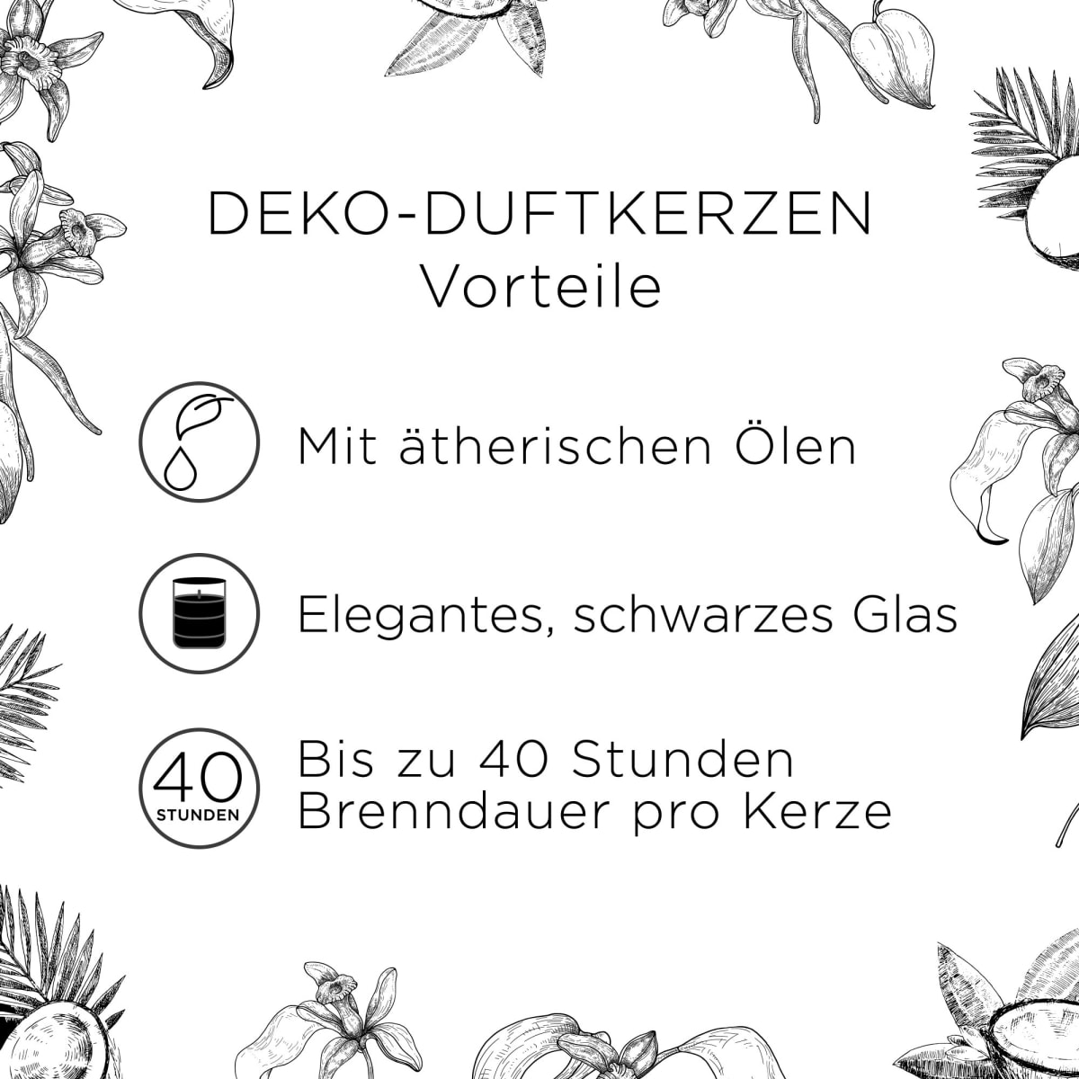 Duftkerze im Glas Vanilleschote & Kokosnuss 220g, 1 St