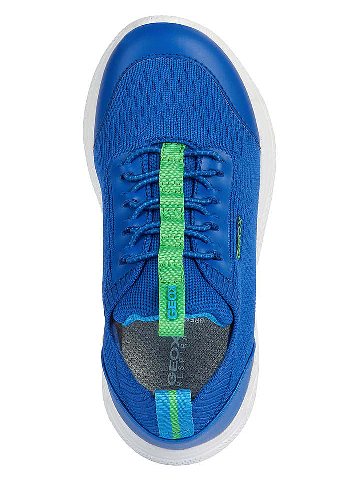 Geox Sneakers 