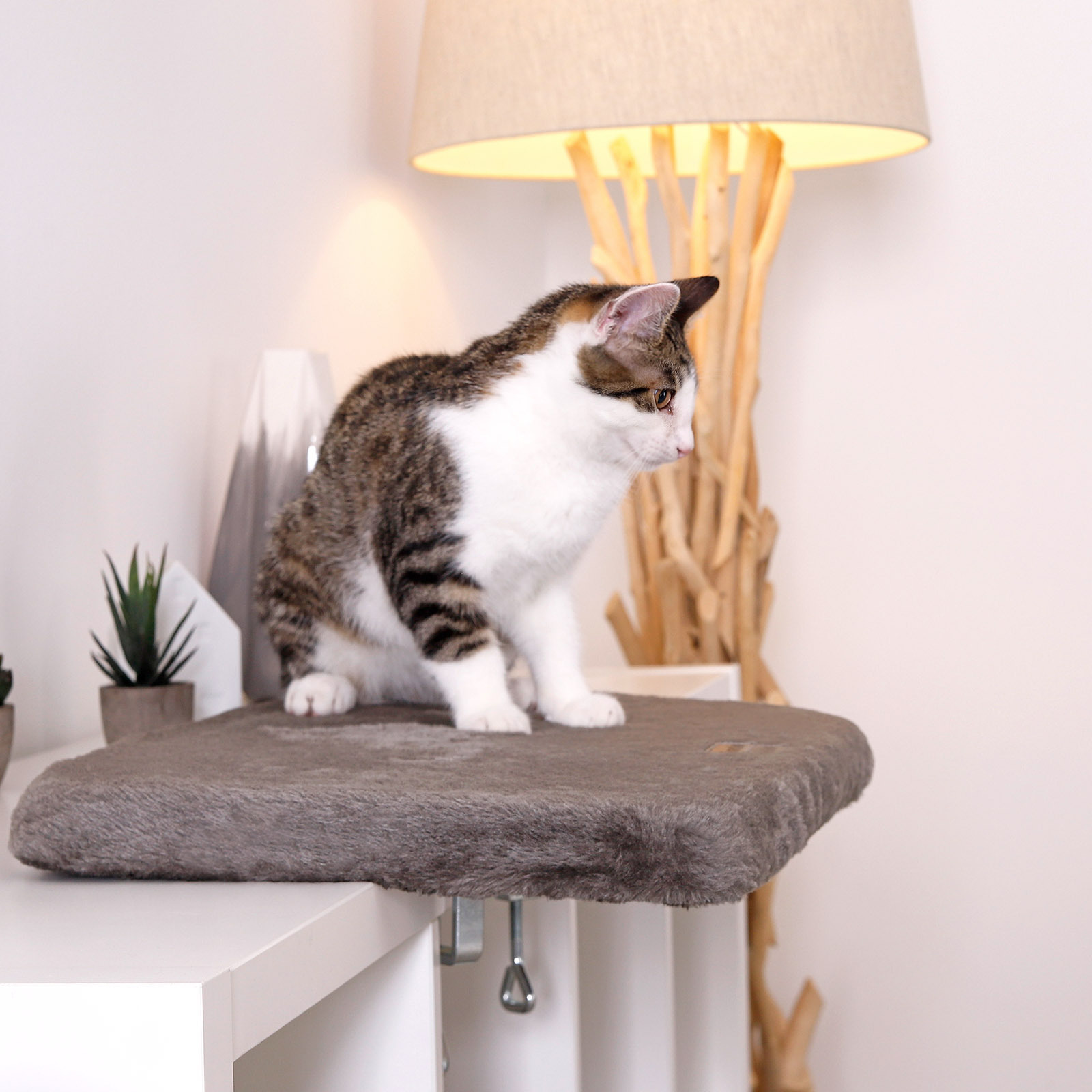 Lionto Katzenhängematten & Fensterliegeplätze Lionto Katzenliege für Fensterbank dunkelgrau