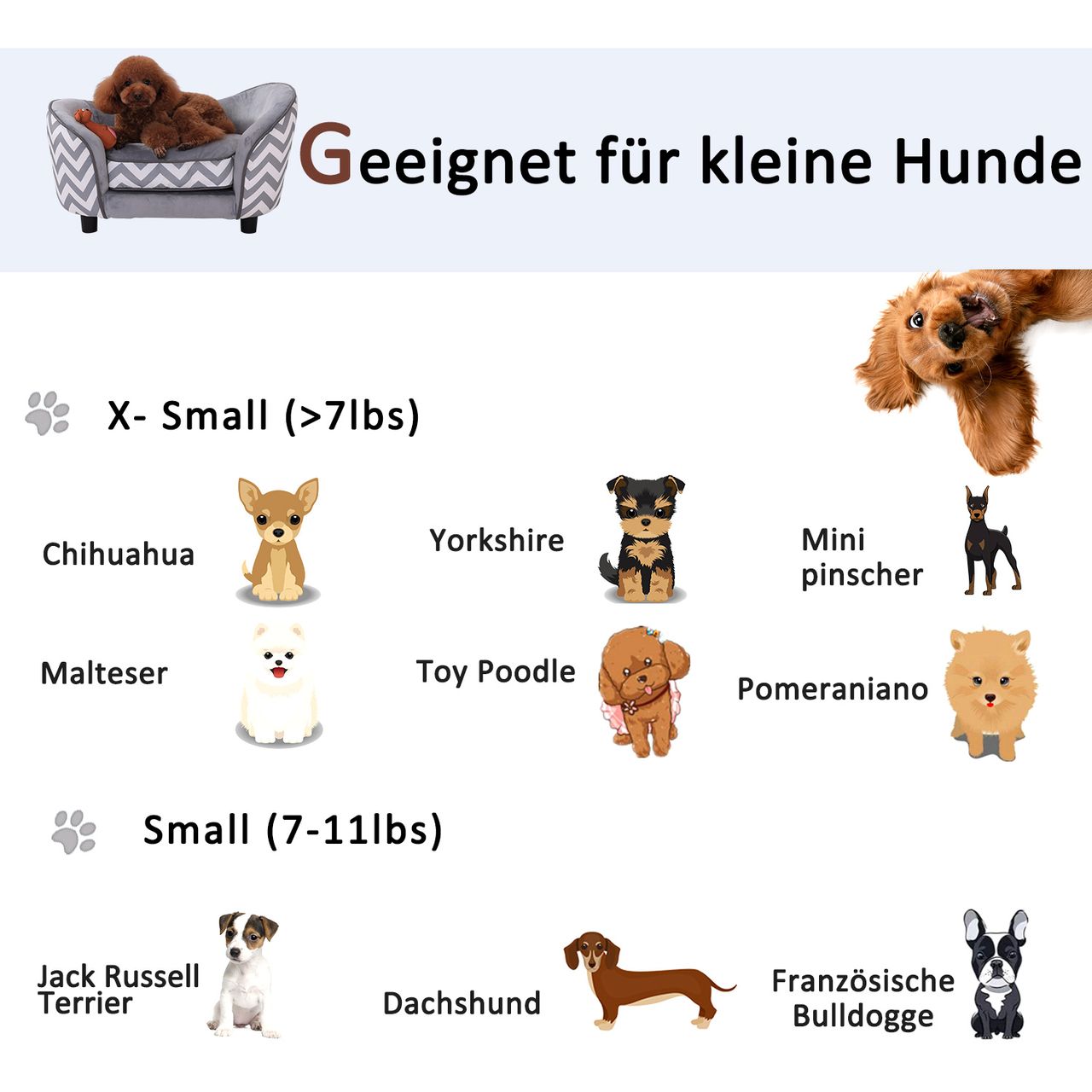 PawHut Haustiersofa Hundebett Hundecouch Hundesofa Hundematte Katze mit Kissen