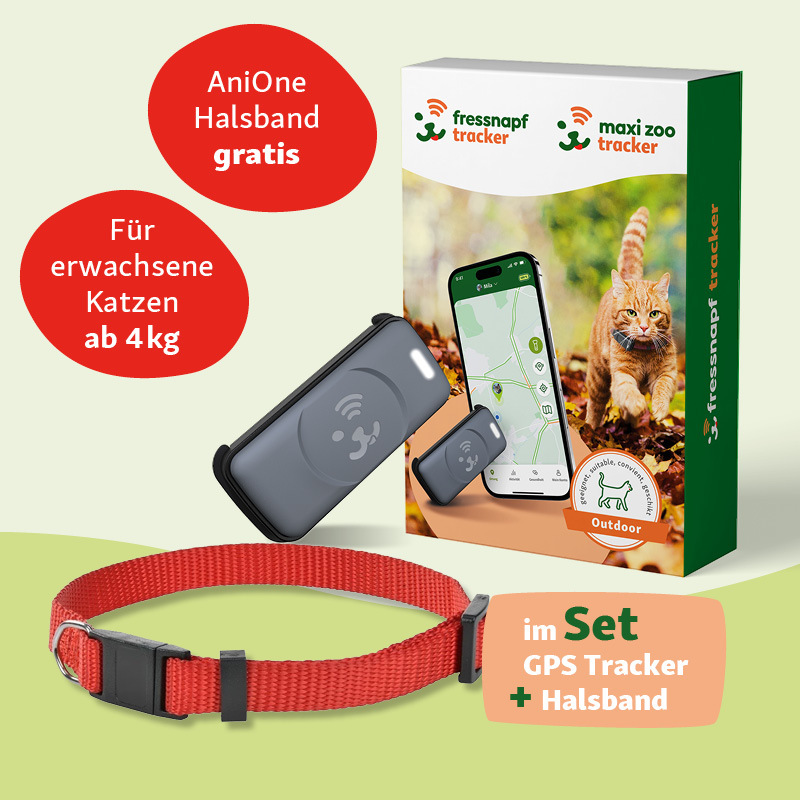 Fressnapf Halsbänder Fressnapf GPS Tracker + AniOne Sicherheitshalsband Set