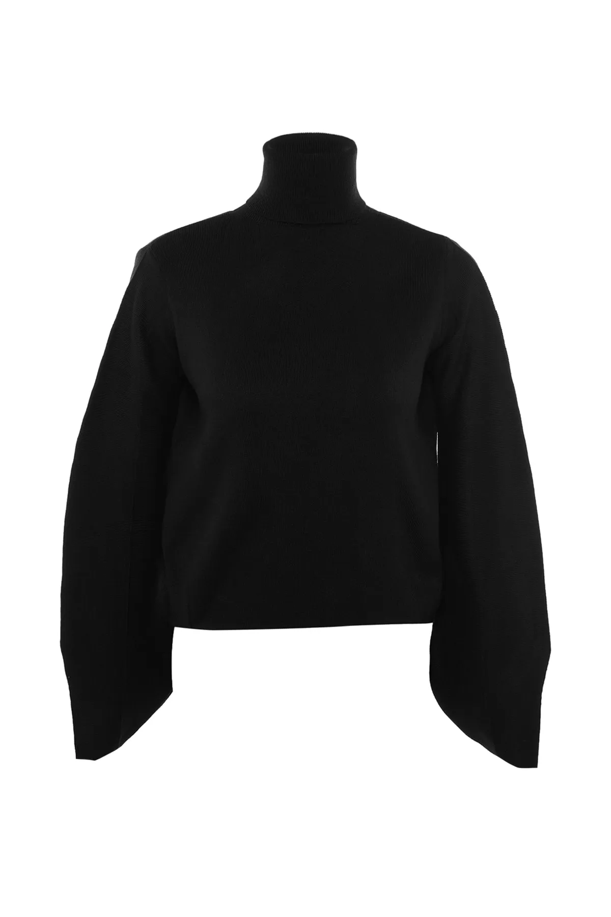 Trendyol Collection  Schwarzer Basic Rollkragenpullover TWOAW21KZ0485