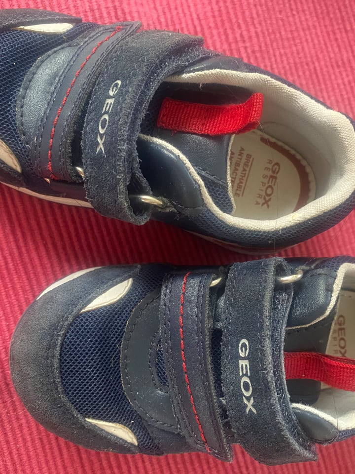 Geox Sneakers 