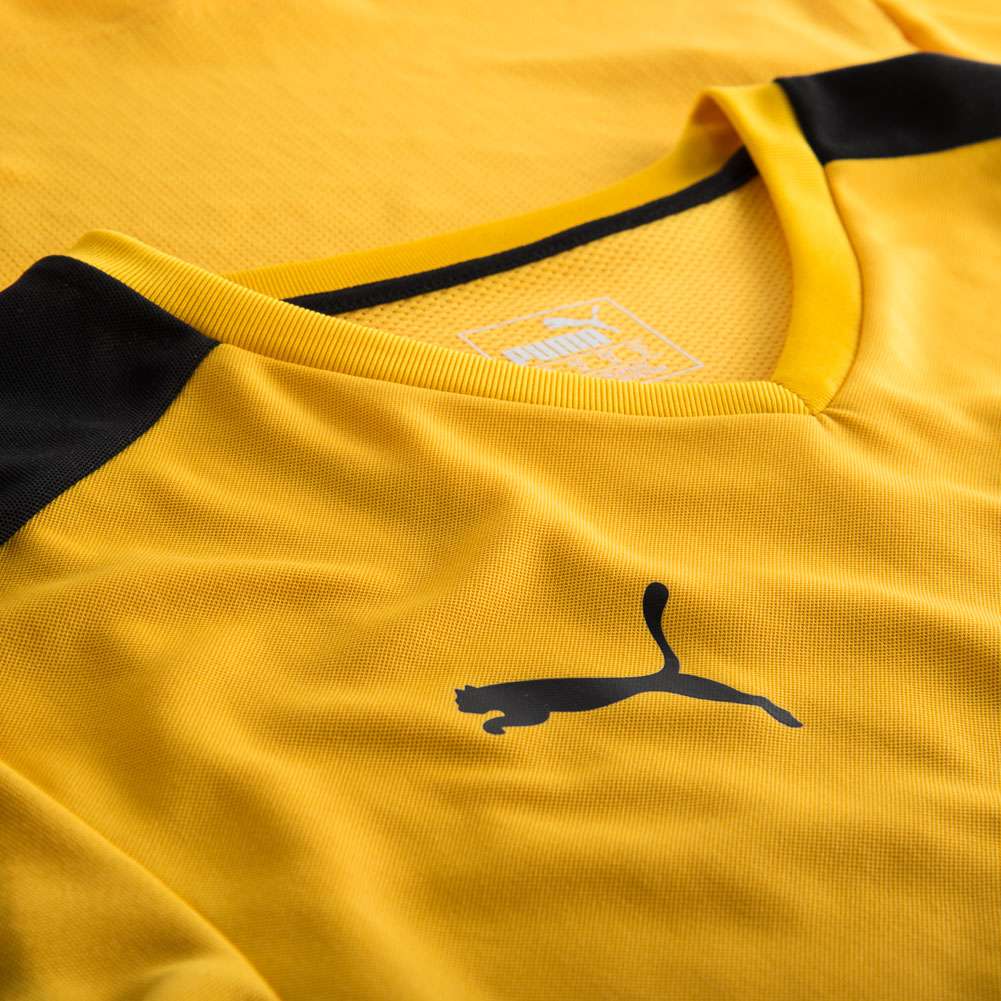 PUMA Pitch Jersey Kurzarm Trikot 702070-07