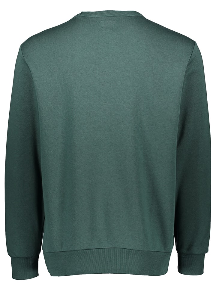 GAP Sweatshirt in Grün günstig kaufen