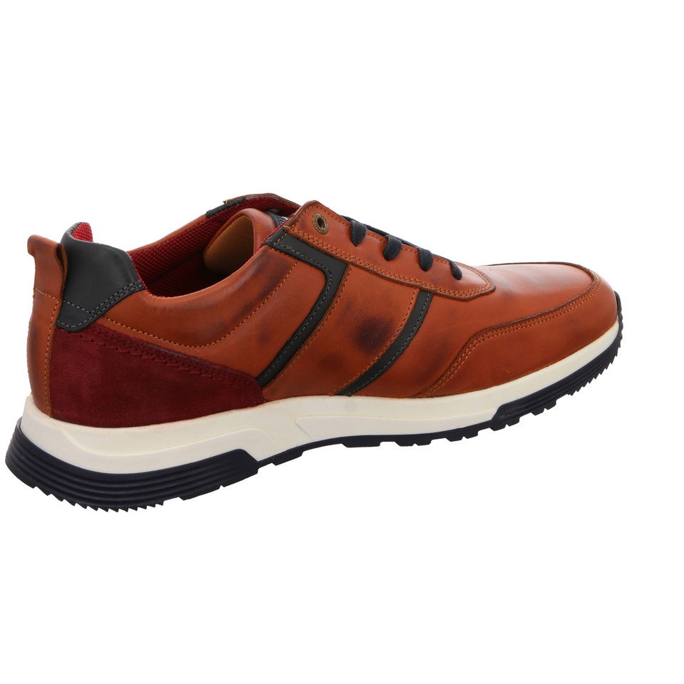 SALAMANDER Dayman Sneaker