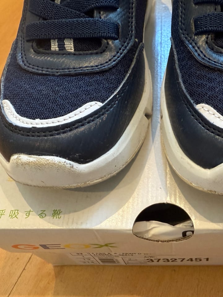 Geox Sneakers 