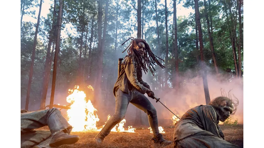 The Walking Dead - Staffel 10  [6 BRs]