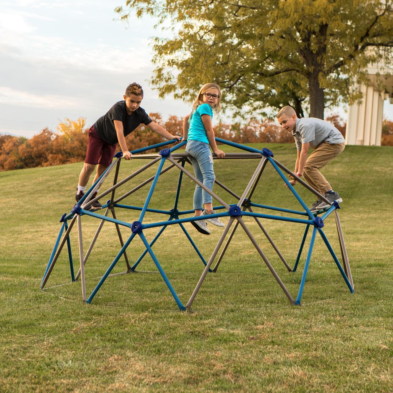 Lifetime Geodome Klettergerüst braun/blau 274x137 cm