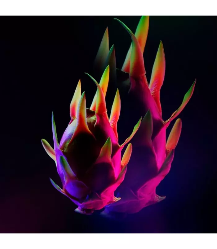 BLACK OPIUM NÉON Eau de Parfum Vaporisateur
