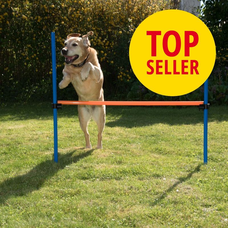 Agility Fun & Sport Hürde zu TOP-Preisen % | bitiba
