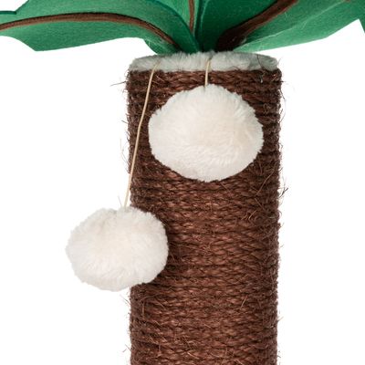 Kratzstamm Coco Palm