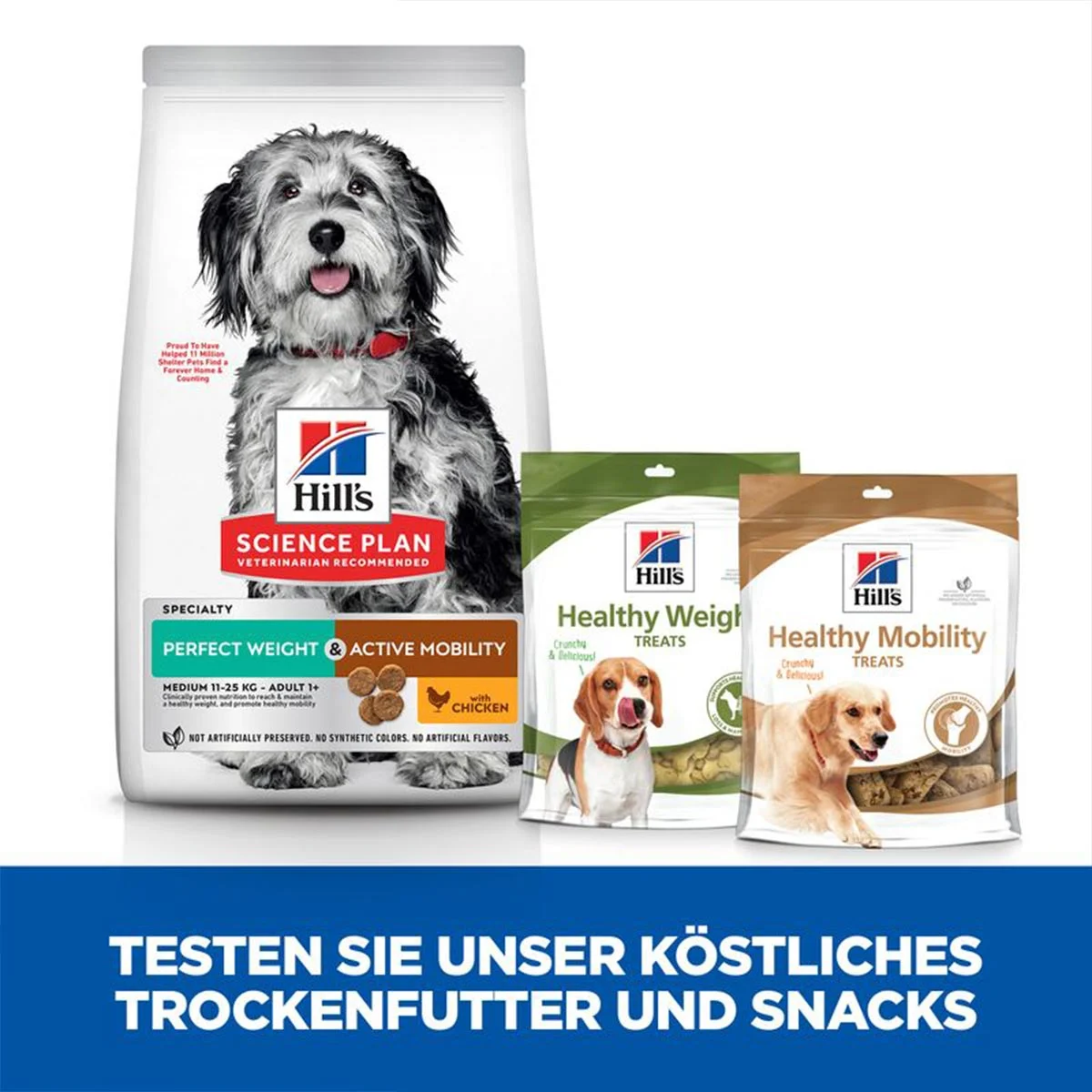 Hill's Science Plan Hund Perfect Weight + Active Mobility Medium Adult Huhn 2,5kg