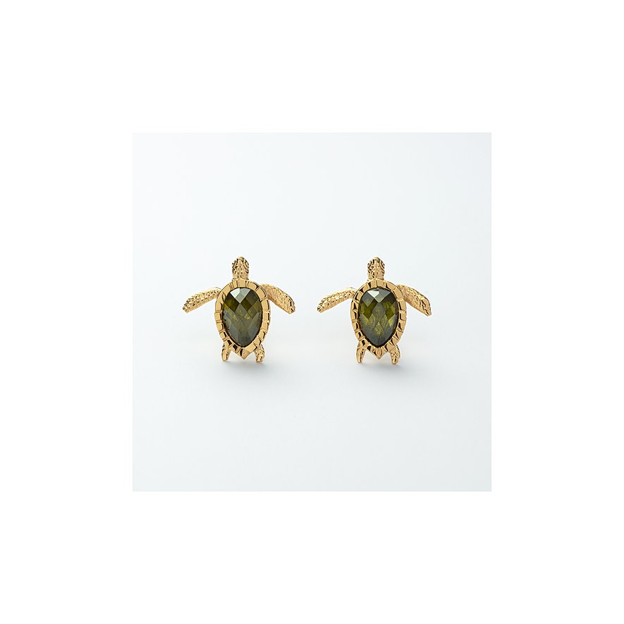 Paul Hewitt Ohrstecker Turtle