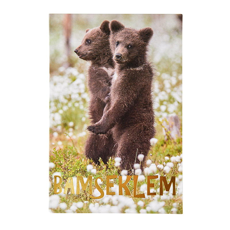 Kort bamseklem, 2 bjørner
