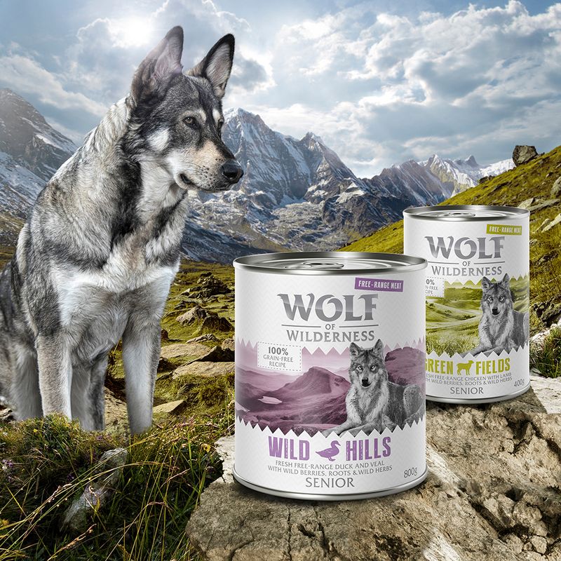 Sparpaket Wolf of Wilderness Freiland-Fleisch Senior 12 x 400 g