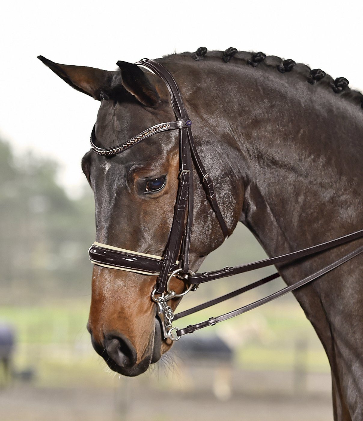 BUSSE Kandarenzaum Busse Kandare LUXURY