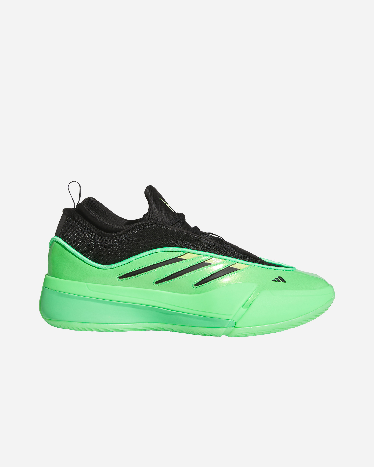 Kosz Scarpe Adidas Dame 9 M JR2508
