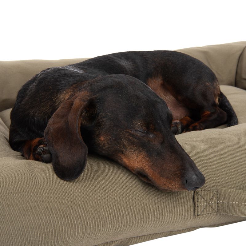 Modern Living Hundebett Toronto ecoLIFE zu TOP-Preisen | bitiba %