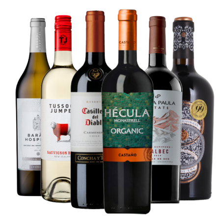 PACK BEST OF VINS DU MONDE
