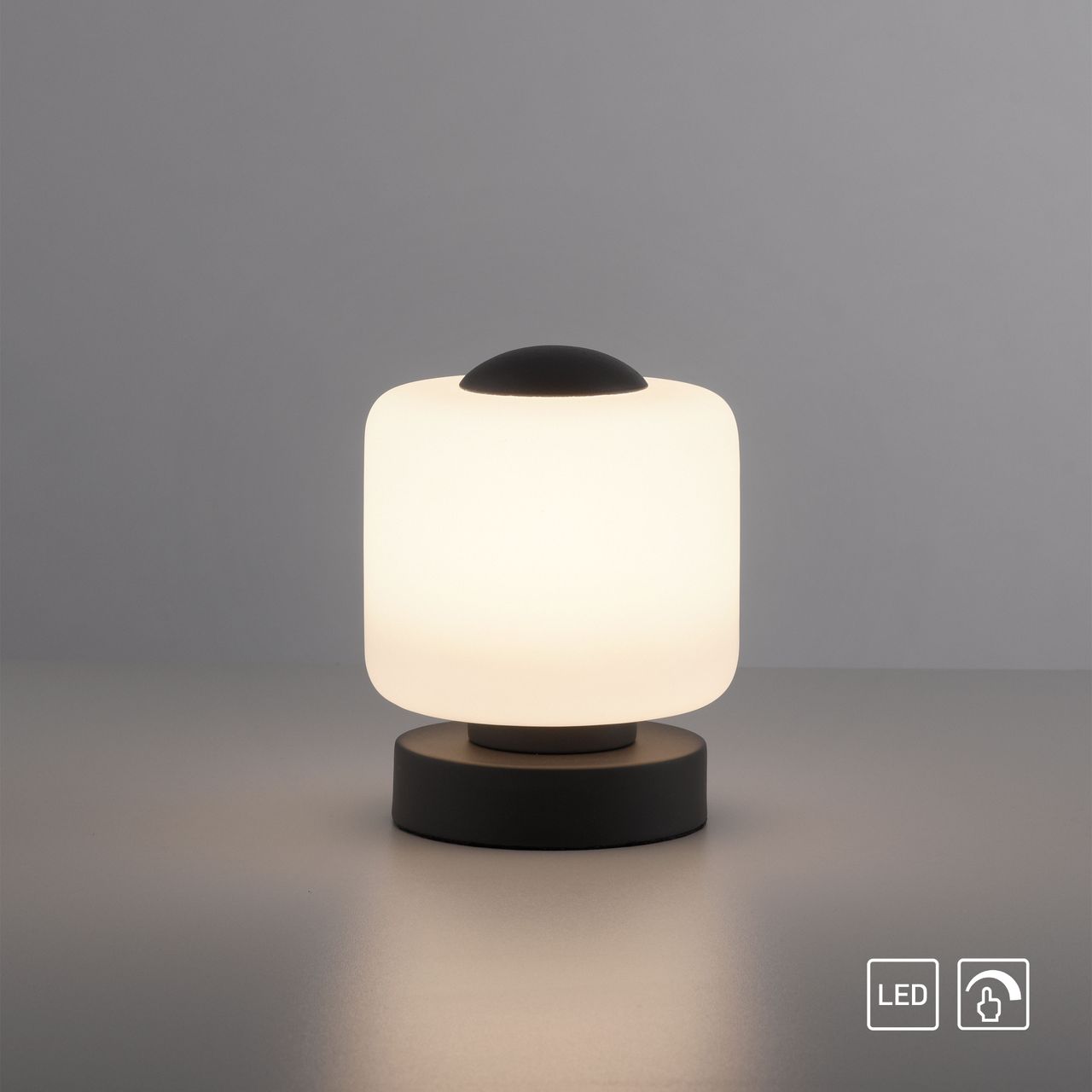 Paul Neuhaus LED Tischleuchte BOTA, schwarz, 3-Stufen-Dimmung über Touchdimmer, 3000K