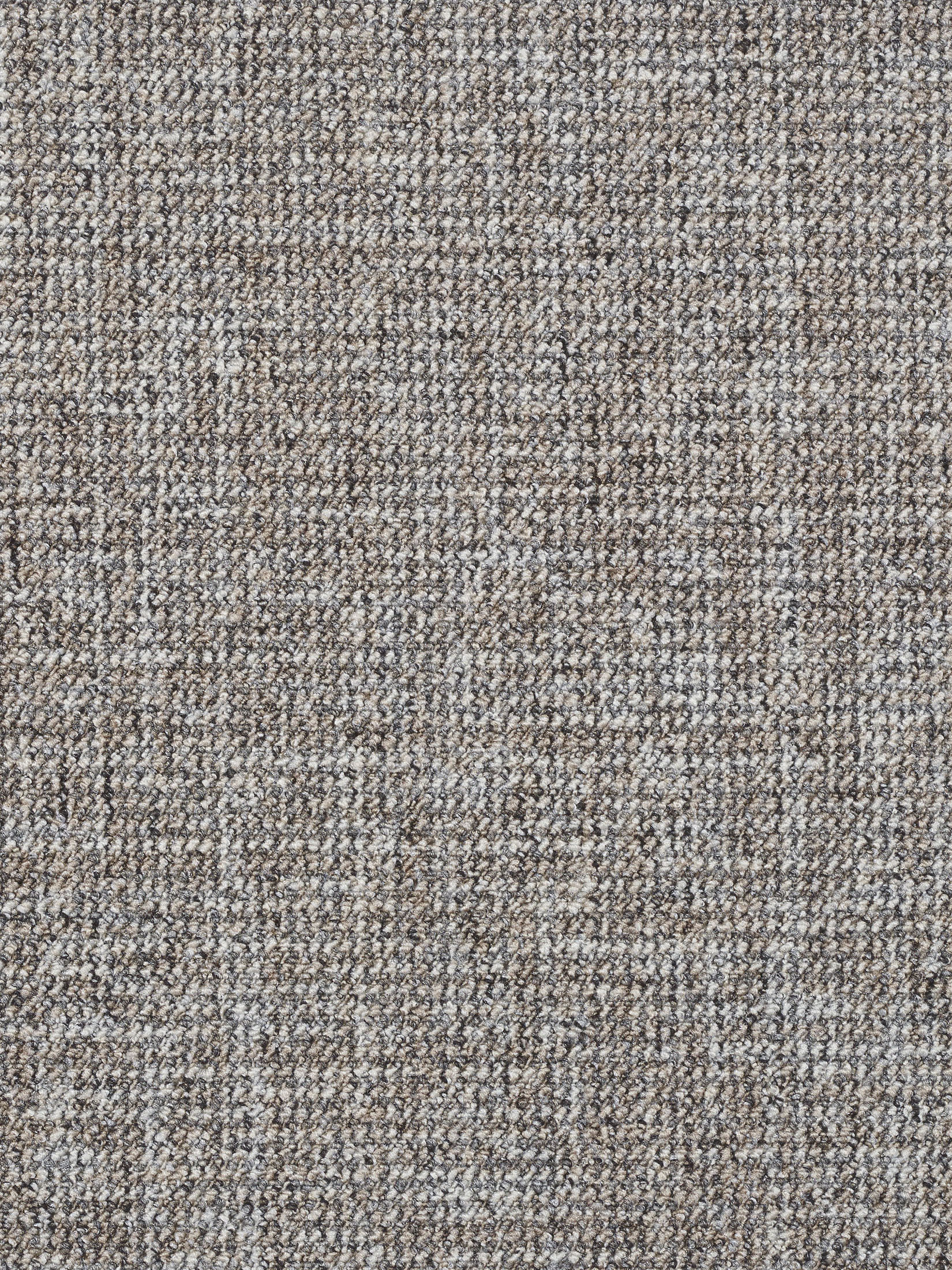 Strukture Teppichbodenfliese, Taupe