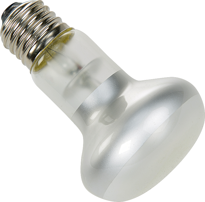 AniOne Beleuchtung AniOne Terra Licht & Wärmespot 75 W