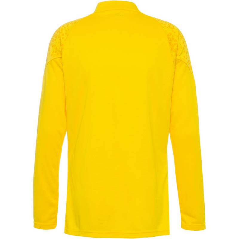 PUMA Borussia Dortmund Funktionsshirt Herren